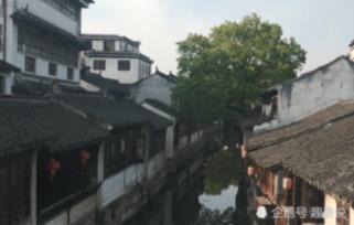 小猫钓鱼正版下载中文版